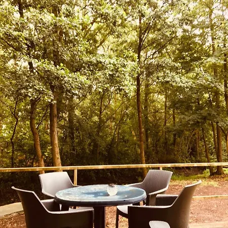 Campsite Basic In Nature Schagerbrug
