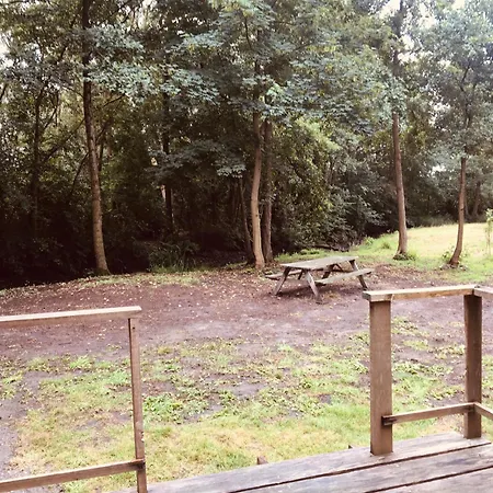 Campsite Basic In Nature *