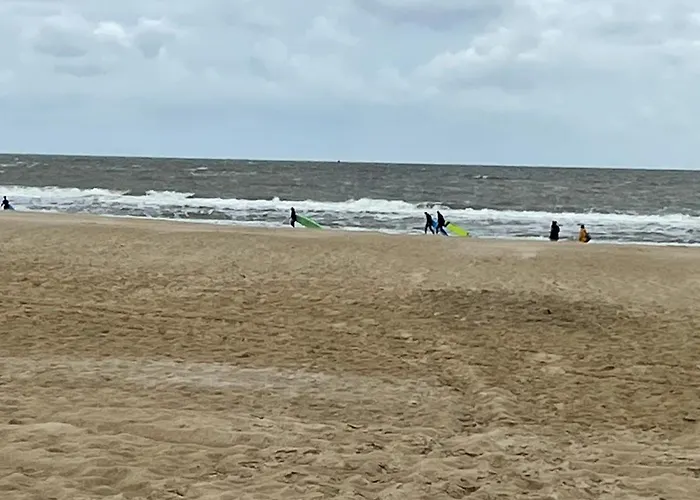 Basic In Nature * Schagerbrug