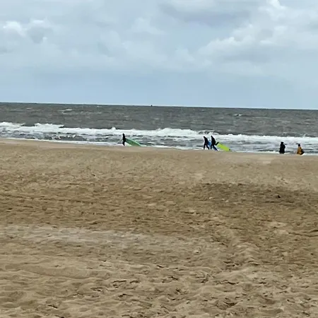 Basic In Nature * Schagerbrug