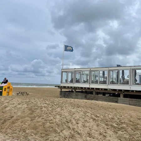 Camping Basic In Nature *