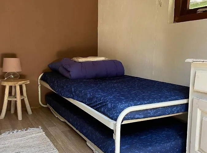 Basic In Nature Camping