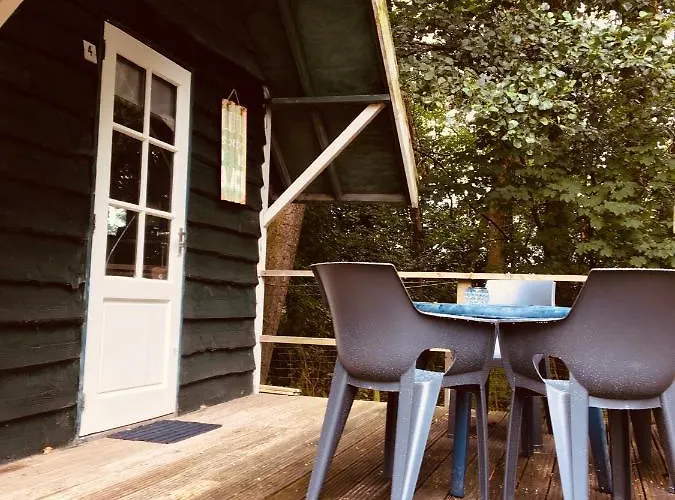 Camping Basic In Nature *