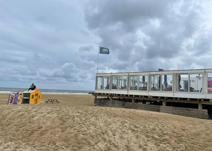 Camping Basic In Nature *