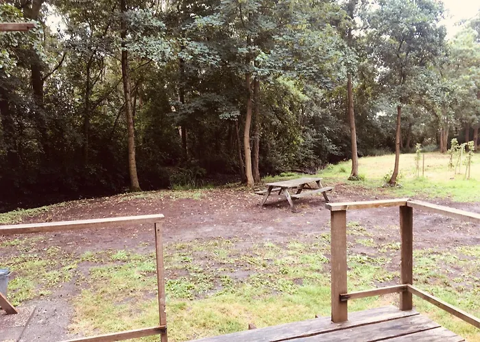 Camping Basic In Nature *